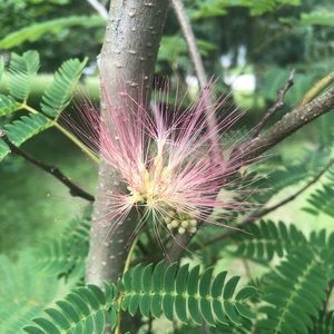 Meet your Posher, Craig